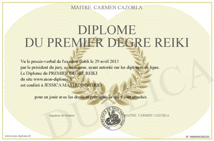 diplome universitaire 1er degre